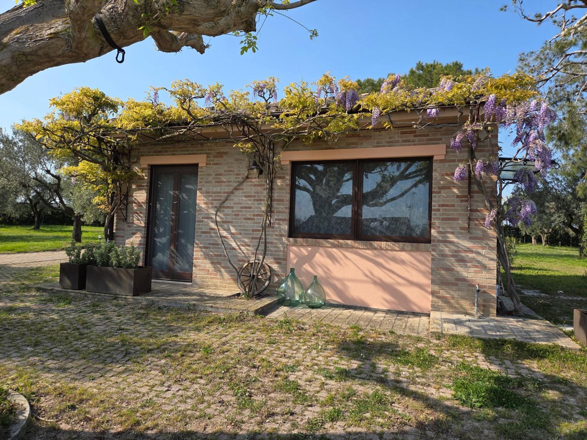 Apartamento Casa Sabbatini SantʼElpidio a Mare Exterior foto